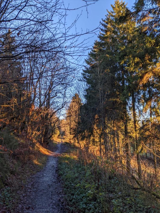 Zentrale Und Gemuetliche Ferienwohnung In Winterberg Nah An Der Natur Luaran gambar