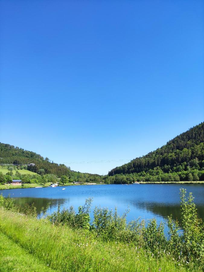 Zentrale Und Gemuetliche Ferienwohnung In Winterberg Nah An Der Natur Luaran gambar