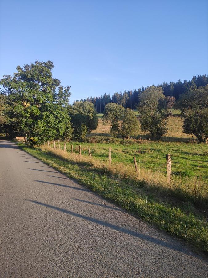 Zentrale Und Gemuetliche Ferienwohnung In Winterberg Nah An Der Natur Luaran gambar