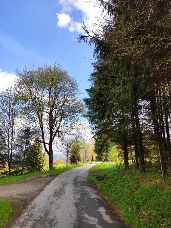 Zentrale Und Gemuetliche Ferienwohnung In Winterberg Nah An Der Natur Luaran gambar